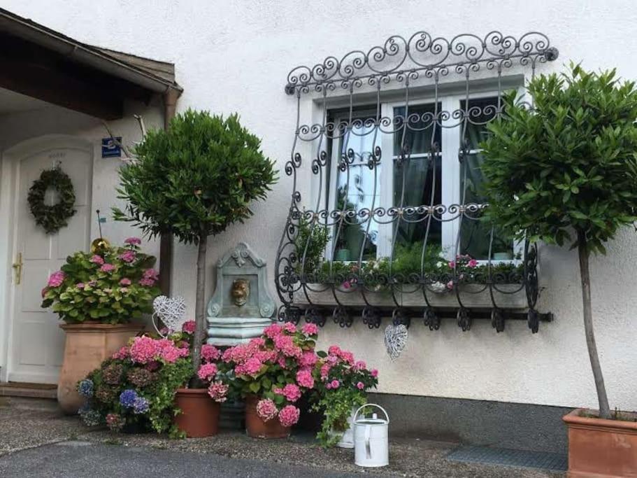 Dachwohnung Mit Seeblick อัลท์มุนสเตอร์ ภายนอก รูปภาพ
